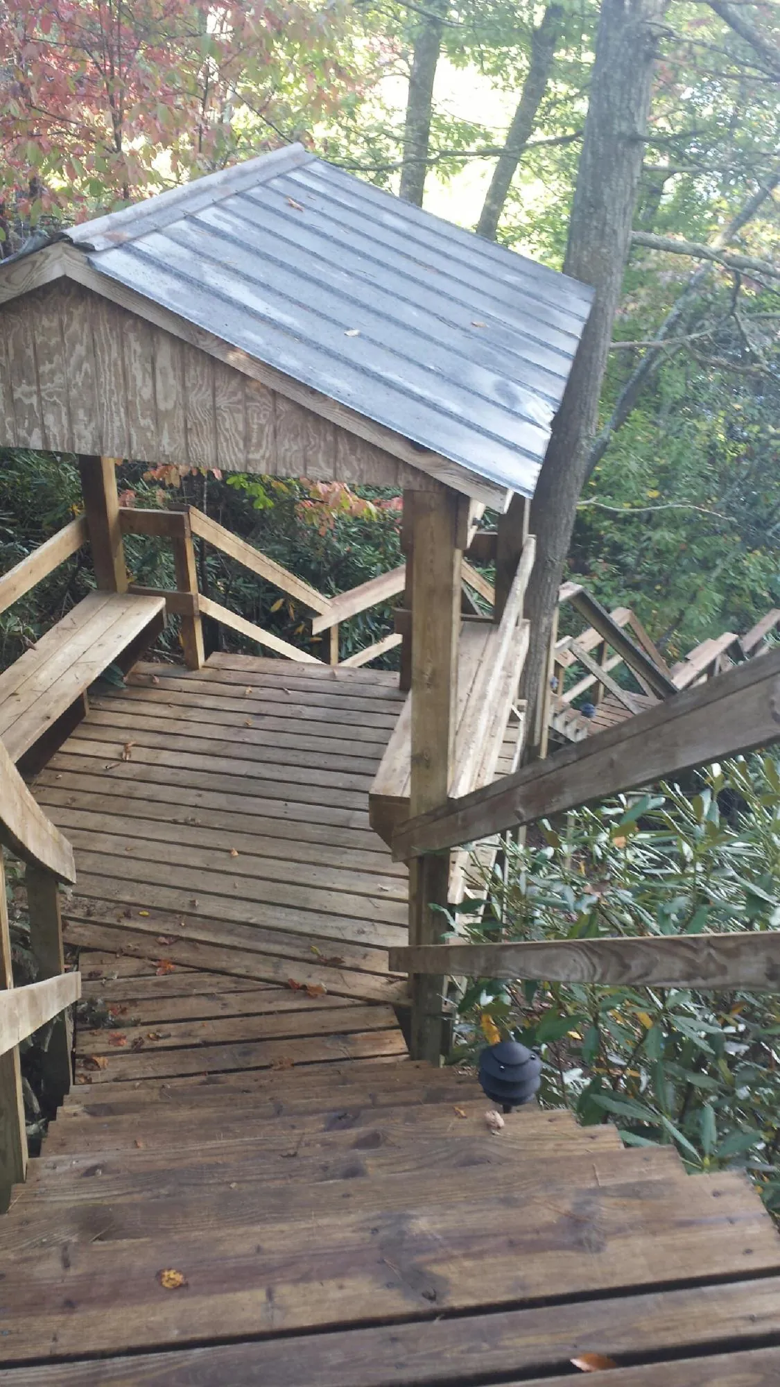 Metal roofed shelter over wooden steps on a wooded walkway — Skylight Repair & Installation work by our crew in Maple Valley