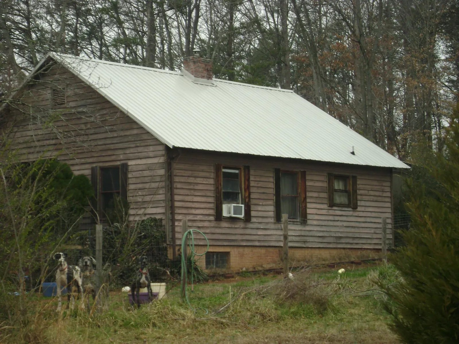 White metal roof on an old wood sided farmhouse, from a Metal Roof Installation job in Maple Valley